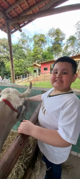 Bicho Mania 2022